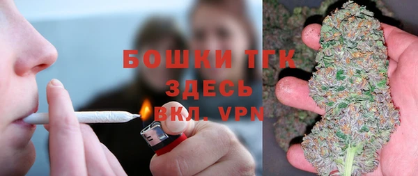 гидра Белокуриха