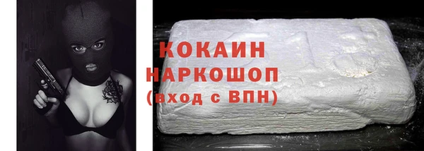 гидра Белокуриха