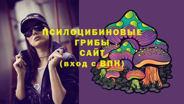 гидра Белокуриха