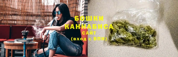 гидра Белокуриха